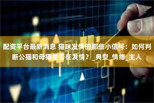 配资平台最新消息 猫咪发情的那些小信号：如何判断公猫和母猫是否在发情？_典型_情绪_主人