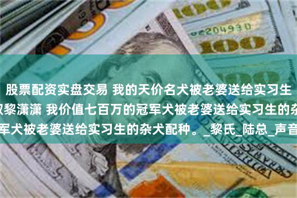 股票配资实盘交易 我的天价名犬被老婆送给实习生的杂犬配种 陆执聿周叙黎潇潇 我价值七百万的冠军犬被老婆送给实习生的杂犬配种。_黎氏_陆总_声音