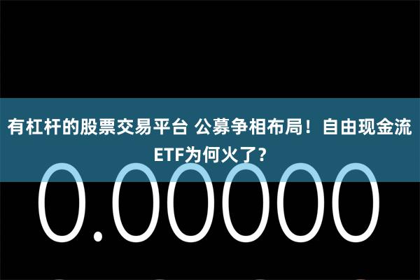 有杠杆的股票交易平台 公募争相布局！自由现金流ETF为何火了？