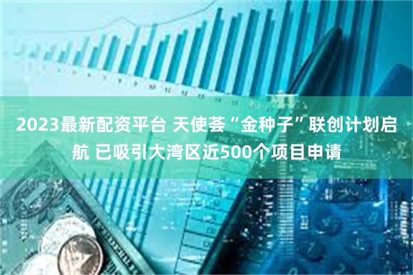 2023最新配资平台 天使荟“金种子”联创计划启航 已吸引大湾区近500个项目申请