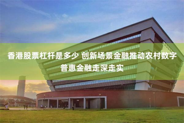 香港股票杠杆是多少 创新场景金融推动农村数字普惠金融走深走实