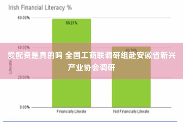爱配资是真的吗 全国工商联调研组赴安徽省新兴产业协会调研