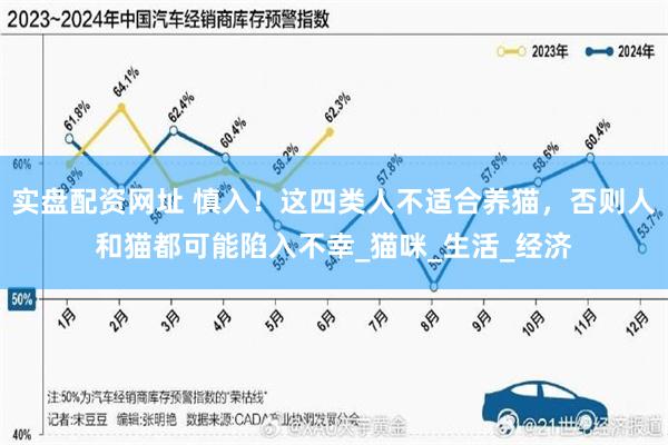 实盘配资网址 慎入！这四类人不适合养猫，否则人和猫都可能陷入不幸_猫咪_生活_经济