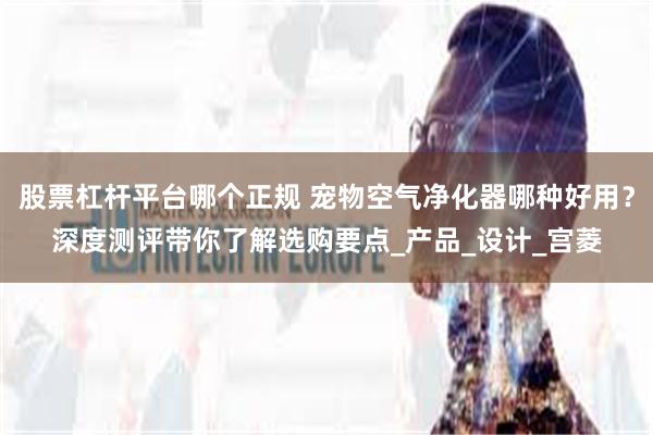 股票杠杆平台哪个正规 宠物空气净化器哪种好用？深度测评带你了解选购要点_产品_设计_宫菱