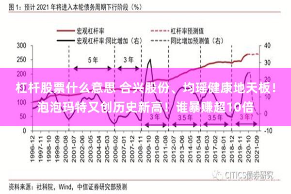 杠杆股票什么意思 合兴股份、均瑶健康地天板！泡泡玛特又创历史新高！谁暴赚超10倍