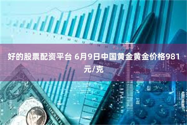 好的股票配资平台 6月9日中国黄金黄金价格981元/克