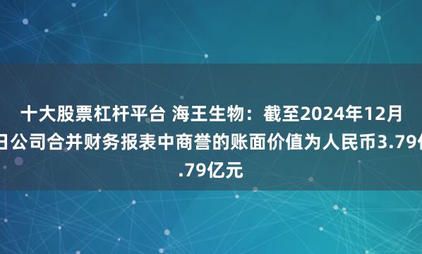 十大股票杠杆平台 海王生物：截至2024年12月31日公司合并财务报表中商誉的账面价值为人民币3.79亿元