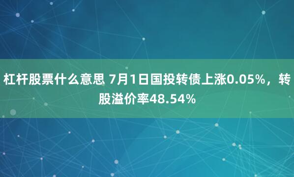 杠杆股票什么意思 7月1日国投转债上涨0.05%，转股溢价率48.54%